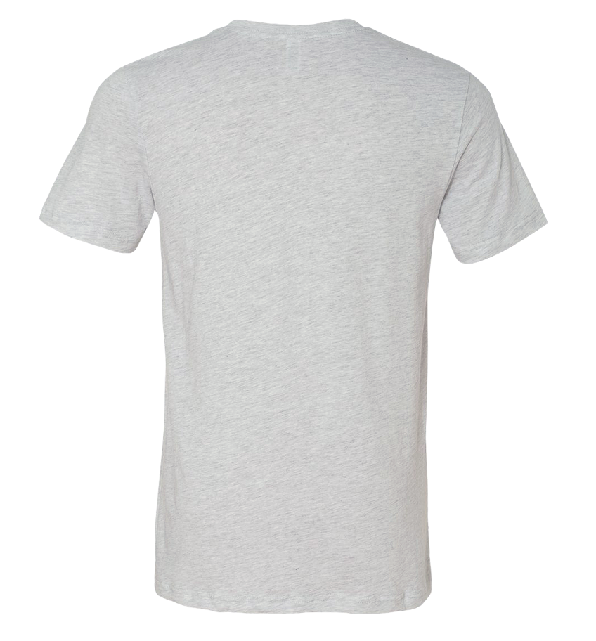 adult georgia flag t-shirt